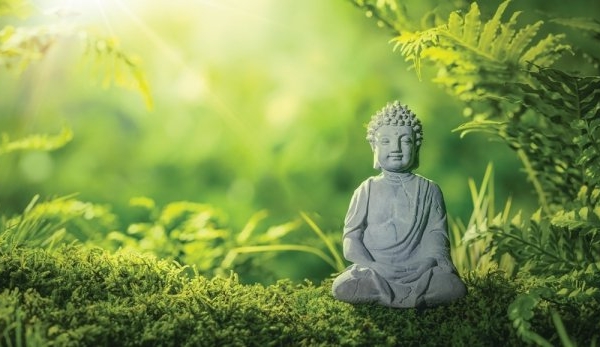 Gieo mầm thiện, trồng căn lành trong Phật pháp