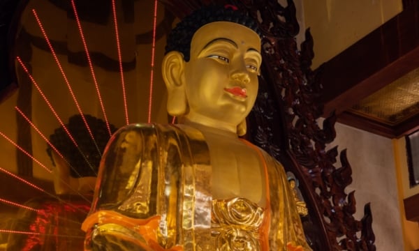 Cùng ngẫm về cuộc đời Đức Phật