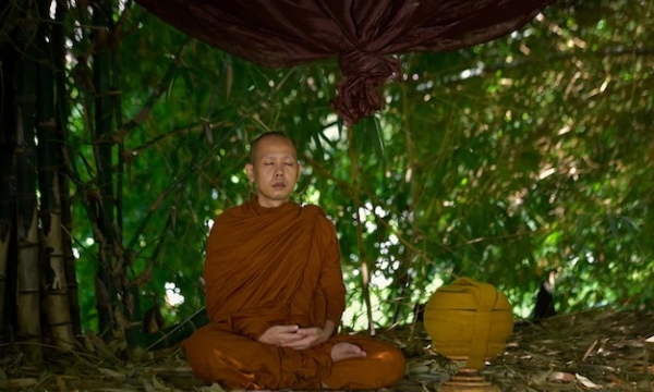 Phật dạy: Hãy tự mình nương tựa chính mình
