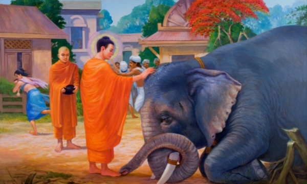 Phật dạy: Có sáu sức mạnh ở đời
