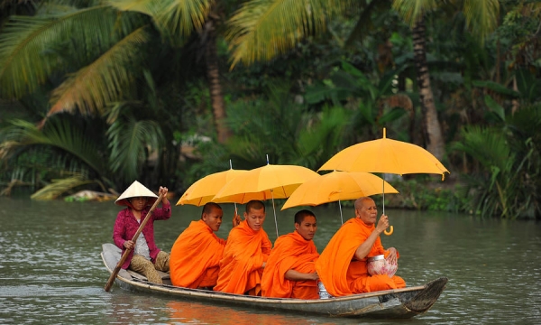 Bốn hạng chúng sanh ở đời