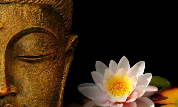 Hoa sen trong Phật giáo