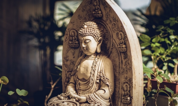 Phật dạy nhân quả báo ứng