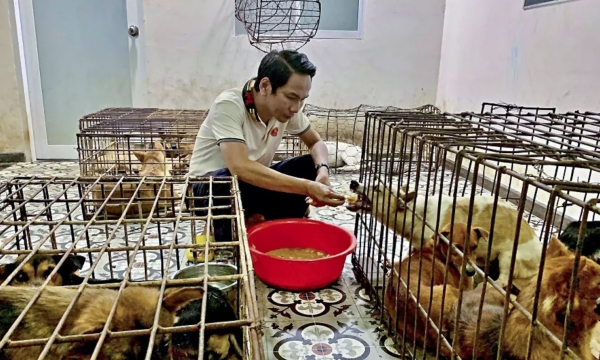 Giải cứu 31 chú chó trong lò mổ và chuyện 'mắc nợ ân tình'