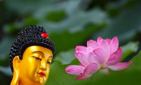 Mười chuẩn mực đạo đức cơ bản của Phật giáo