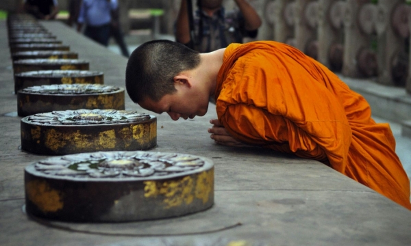 Lời nguyện “Tình dữ vô tình đều trọn thành Phật đạo” có nghĩa là gì?