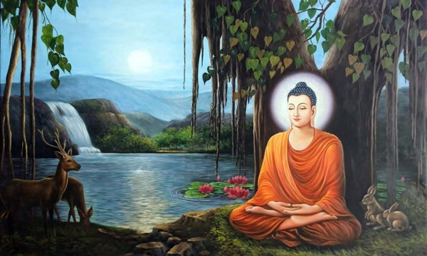 Câu chuyện tiền thân Đức Phật: Chuyện con chim