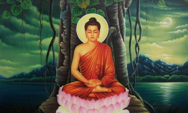 Câu chuyện tiền thân Đức Phật: Chuyện con cò