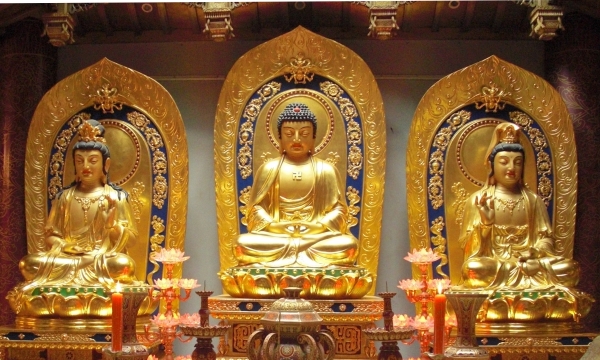 Vị trí Tịnh độ tông trong giáo pháp của Đức Phật