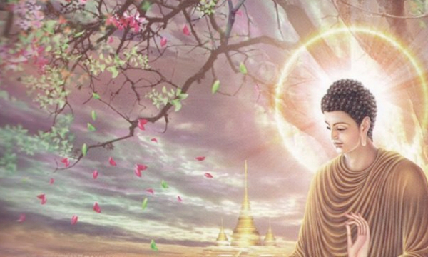 Câu chuyện tiền thân Đức Phật: Chuyện luật cây rừng