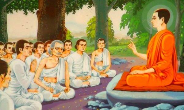 Câu chuyện tiền thân Đức Phật: Chuyện con nai cây đa