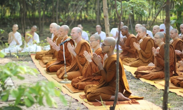 Phật dạy: “Các Tỳ kheo nên thường học Pháp thí”