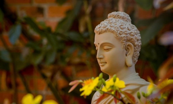 Lòng thương kính Phật là tình cảm đặc biệt nhất, quý giá nhất trong cuộc đời