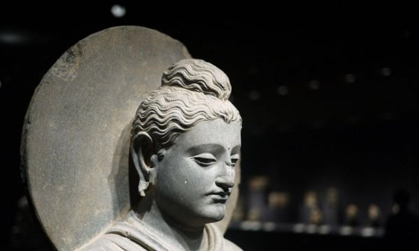 Câu chuyện tiền thân Đức Phật: Chuyện người lái buôn lừa đảo