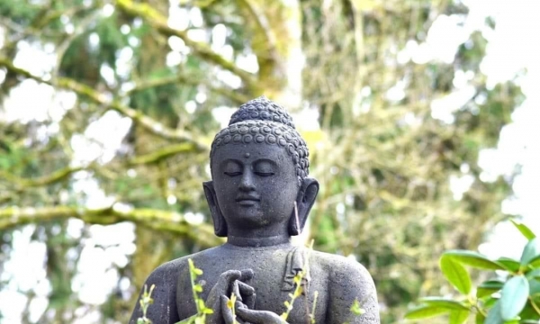 Câu chuyện tiền thân Đức Phật: Chuyện lạ kỳ