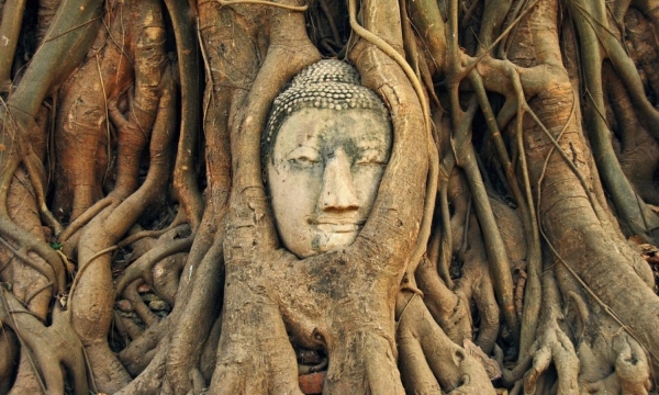Chiêm ngưỡng 10 bức tượng Phật đẹp nổi tiếng nhất thế giới