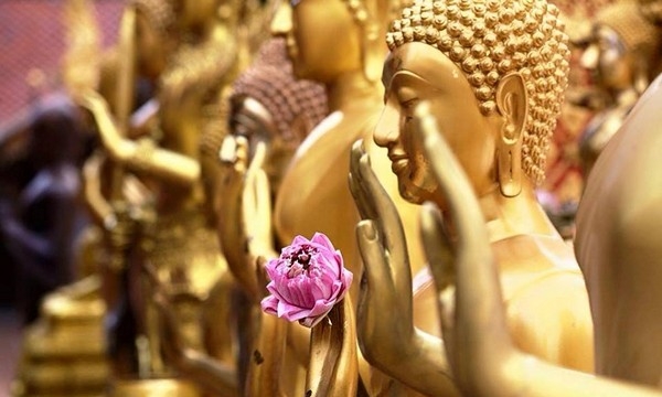 Lời dạy của Đức Phật: “Tấm thân nào cũng bất tịnh, ngày đêm bài tiết các chất tanh hôi”