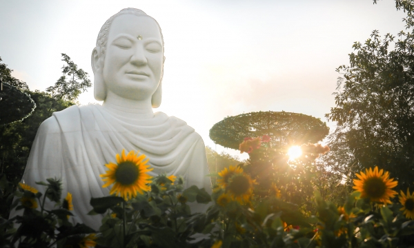 Văn tưởng niệm Phật Thích Ca thành đạo (Phần 2)
