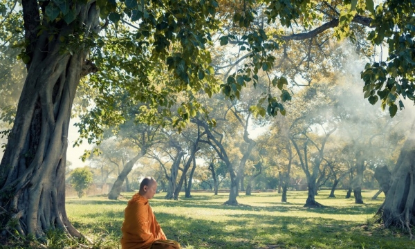 Phật dạy về năm nguy hại khi Tỳ kheo ở quá lâu một chỗ