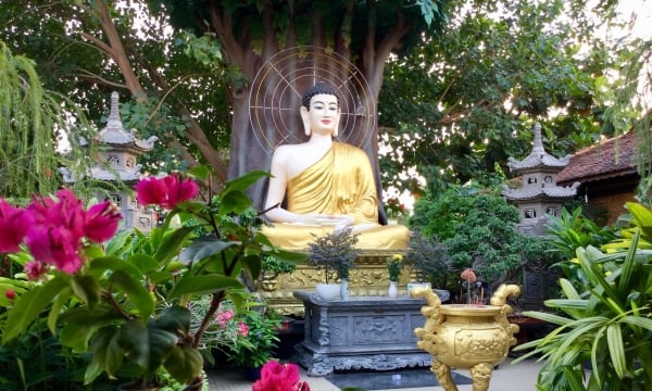 Làm sao để nhận được năng lượng tình thương nhiệm mầu của Phật?