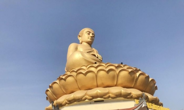 Cận cảnh tượng Phật cao 42m tại Nghệ An