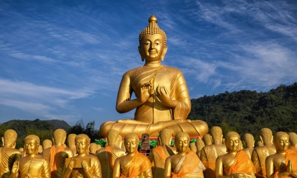 Đạo Phật có nghĩa là sống giác ngộ