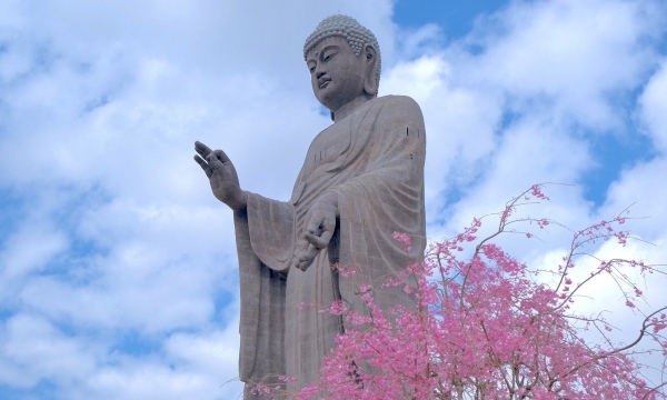 Chiêm ngưỡng tượng Phật lớn nhất thế giới ở Nhật Bản