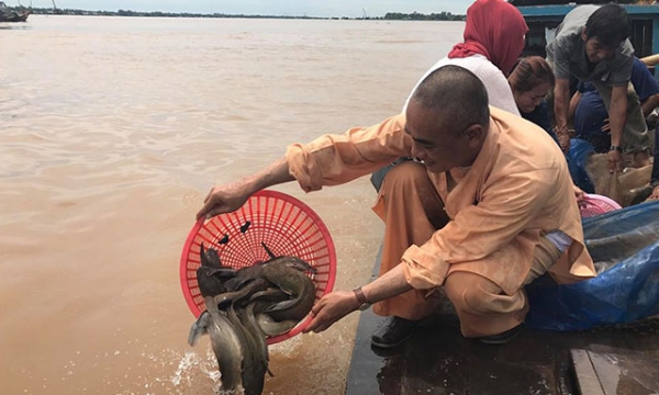 Những lời khai thị về phóng sinh của các đại tổ sư