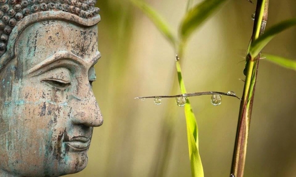 Sự nhẫn nại và lòng từ bi vô biên của Đức Phật