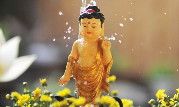 Đạo Phật có sứ mệnh đem ánh sáng và tình thương đến với muôn loài