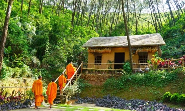 Bảo vệ môi trường từ góc nhìn Phật giáo