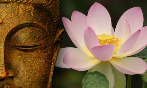 Hình tượng hoa sen trích từ kinh điển Phật giáo