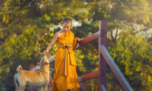 Phật dạy: Tâm ko rét phẫn uất, ý ko thực hiện sợ hãi là gốc mối cung cấp của bình an