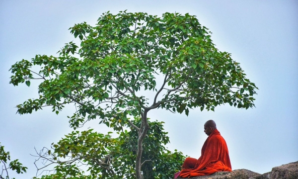 Một cách hiểu và phân loại Thiền trong Phật giáo