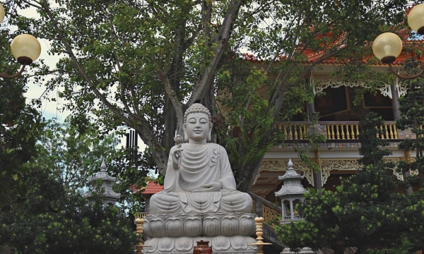 Đạo Phật là đạo thoát khổ hay làm chủ khổ?