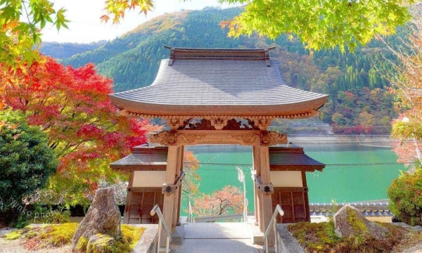 Ngắm cảnh sắc lá đỏ mùa thu rực rỡ tại chùa Chogen-ji