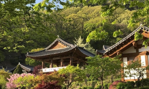 8 ngôi chùa đẹp nhất Hàn Quốc