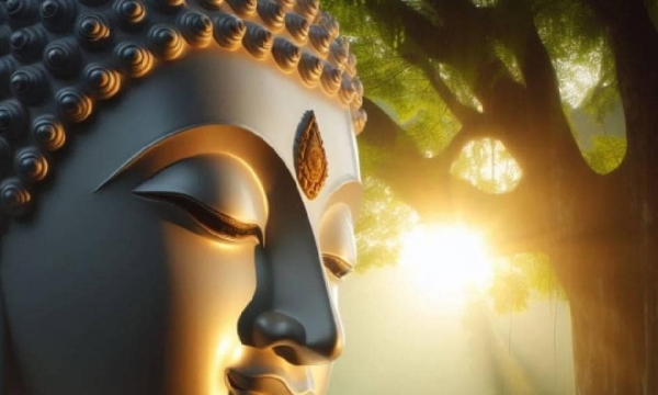 Học Phật để giải thoát