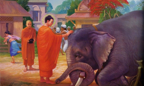 Bước đầu học Phật: Từ bi là gì?