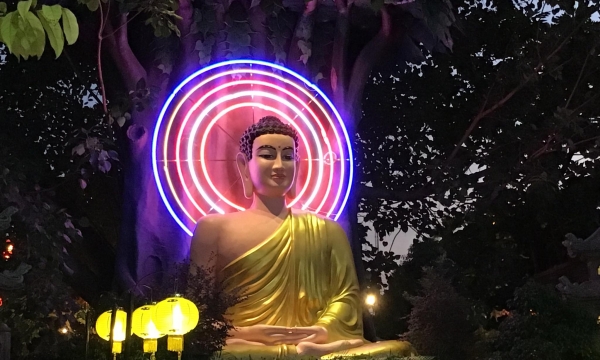 Bước đầu học Phật: Làm sao tu theo Phật?