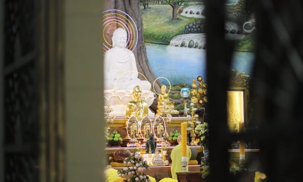 Pháp tu nào phù hợp cho Phật tử mới quy y Tam bảo?