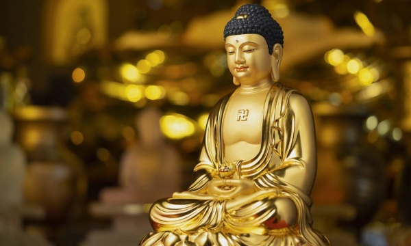 Chuyên niệm hồng danh Phật A Di Đà mà không đọc kinh thì có sao không?