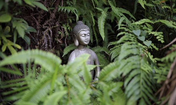 Hạnh phúc theo quan điểm của Phật giáo là gì?