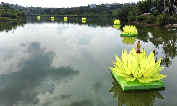 Ngắm 7 đóa sen kính mừng Phật đản ở hồ Nhân Cơ