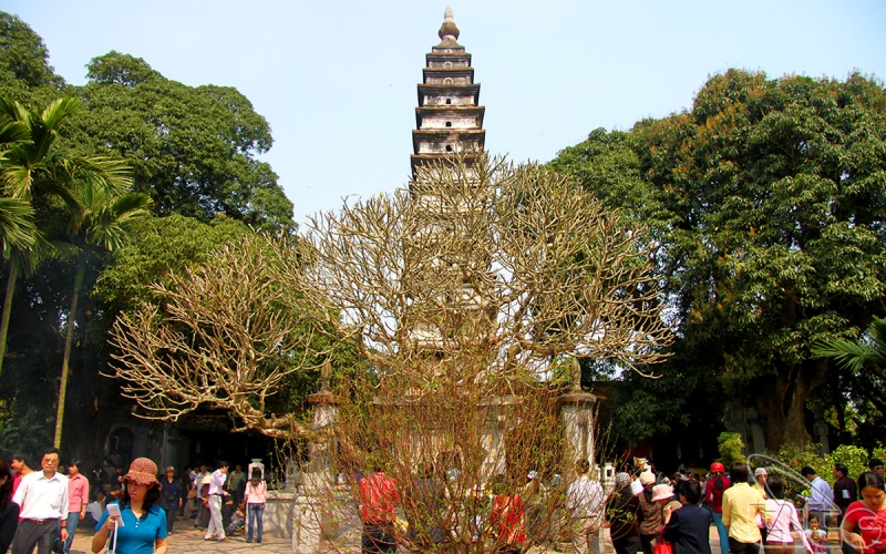 Nằm ở địa phận phường Lộc Vượng, thành phố Nam Định, chùa Phổ Minh hay chùa Tháp là một trong những dấu tích quan trọng còn lại của nhà Trần. Kiến trúc thời Trần quan trọng nhất còn được bảo tồn khá nguyên vẹn của chùa là tháp Phổ Minh, nằm trước tiền đường.