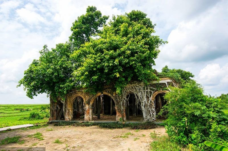Kì bí ngôi đình hơn 110 tuổi dưới tán cây bồ đề linh thiêng ở Tiền Giang.
