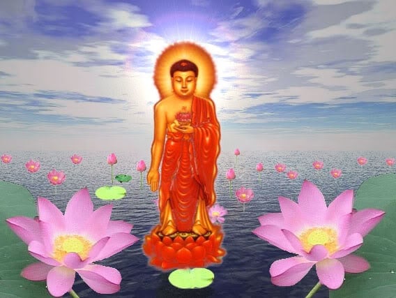 Một số hình ảnh Phật Di Đà Thư viện hình Phật Giáo đẹp chất lượng