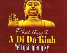 Nhạc Thiền "Hoa Sen Nước Chảy"