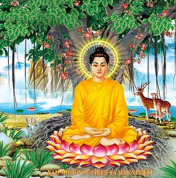 Dòng sông tâm thức: Thiền (III)