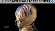 Chuyên gia khuyến cáo: Không nên rung lắc trẻ sơ sinh